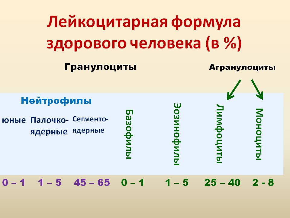 Показатели лейкоцитарной формулы