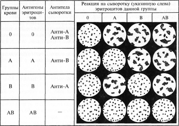 Способы определения