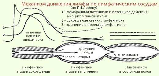 По свойствам