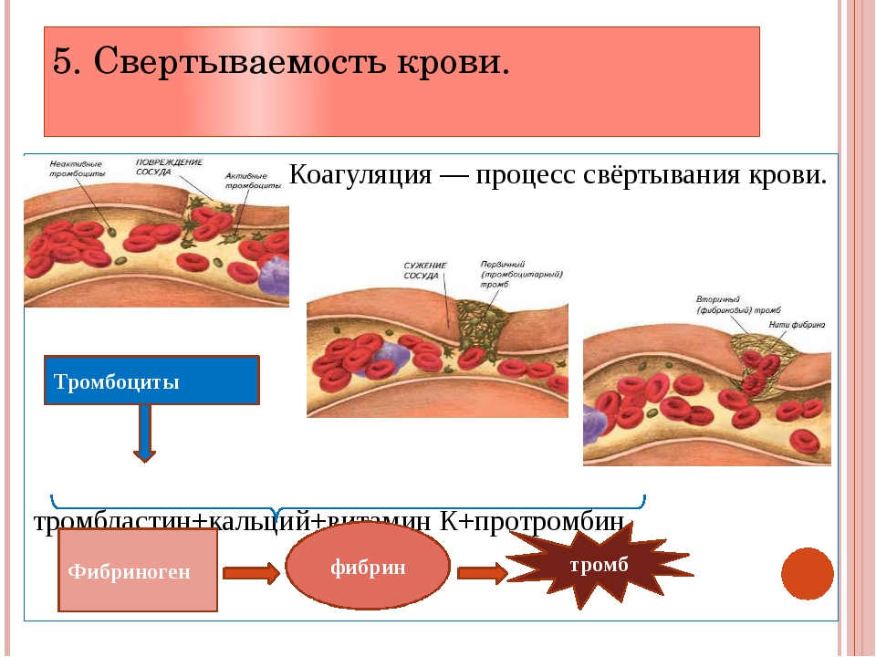 Тромбоциты