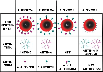 Система АВ0