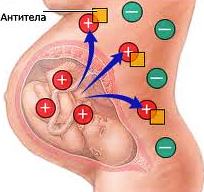 Опасность при беременности