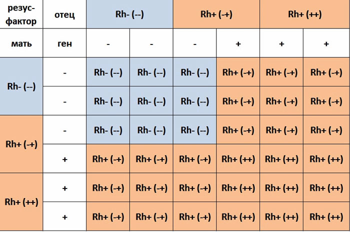 Таблица резус-конфликта при беременности Резус-конфликт