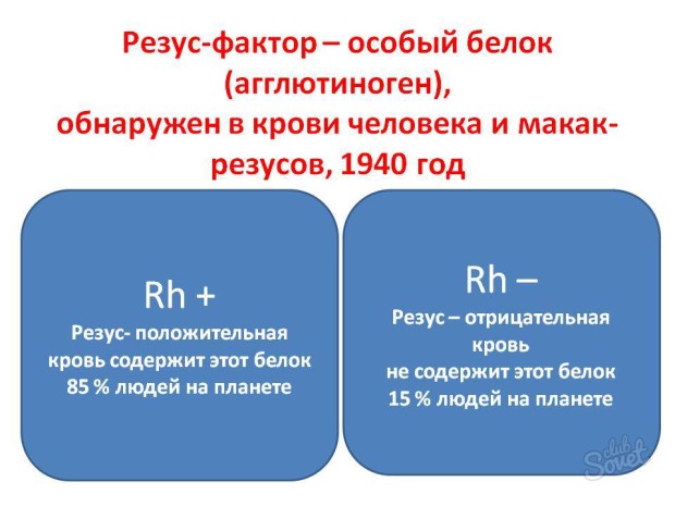 Резус - фактор