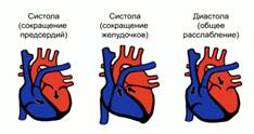 Строение клапана