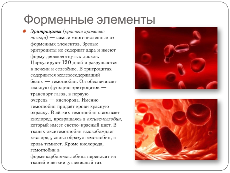 Повышенные эритроциты причины