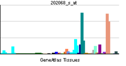 PBB GE LDLR 202068 s at tn.png