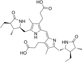 Stercobilin.png