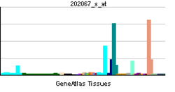 PBB GE LDLR 202067 s at tn.png
