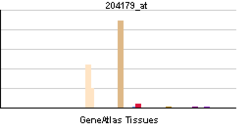 PBB GE MB 204179 at tn.png