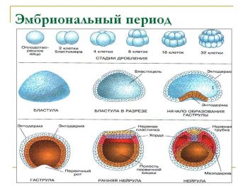 Иллюстрация 2