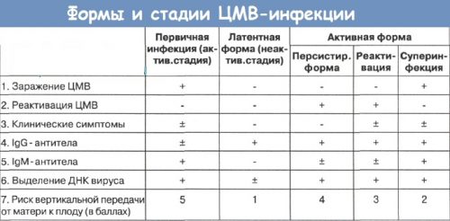 Формы и стадии ЦМВ-инфекции