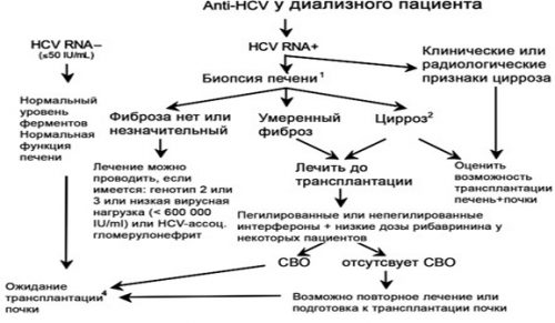 Алгоритм ведения anti-HCV позитивных пациентов