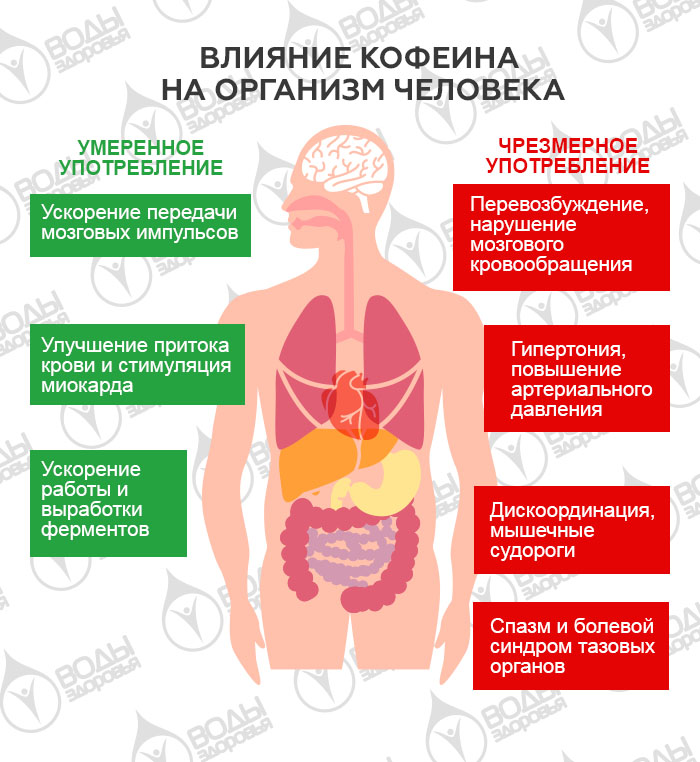 Суточная доза кофе. Действие на сосуды