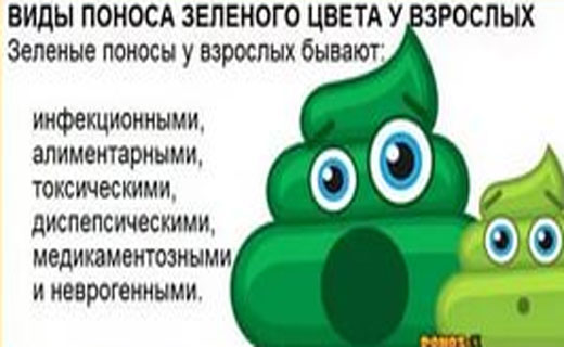 Зеленый понос у взрослого причины