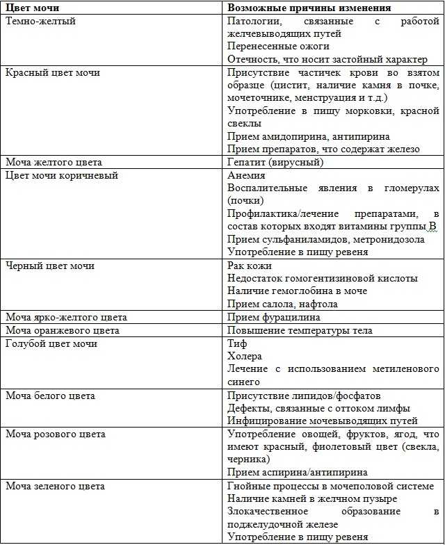 Общий анализ мочи