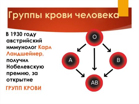 Анализ на группу крови и резус-фактор