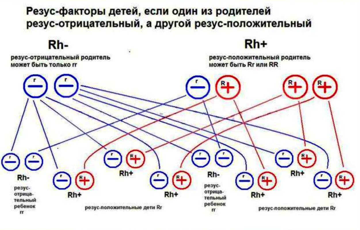 Наследование ребенком резус-фактора от отца и матери