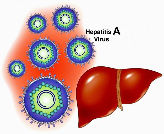 гепатит заражение 