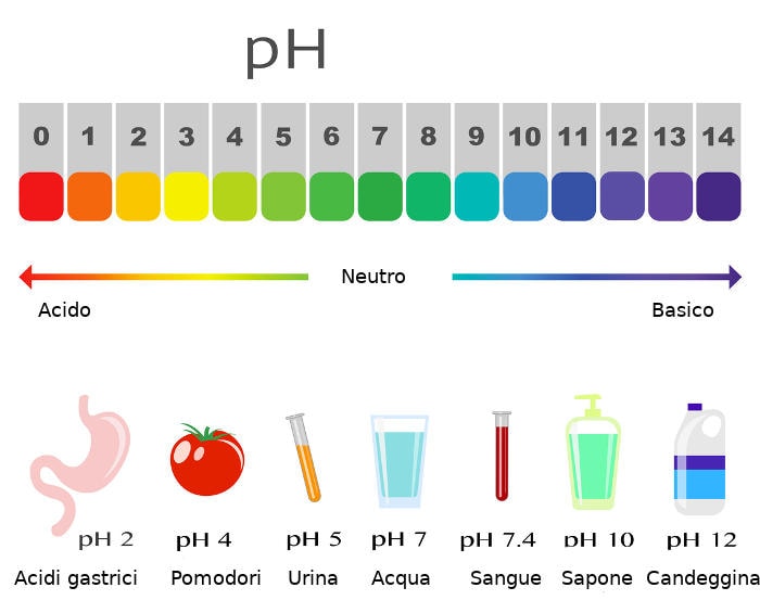 Rappresentazione grafica della scala del pH