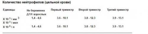 Сегментоядерные нейтрофилы повышены. Нормальные значения