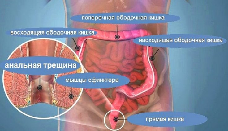 Показания к применению Солкосерила